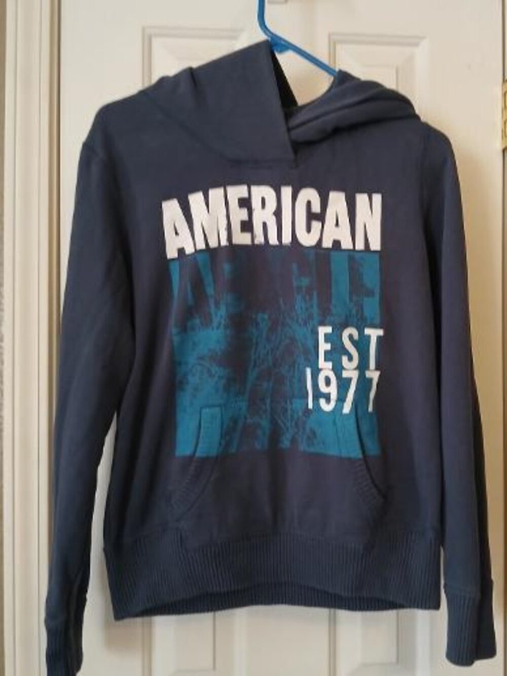 American Eagle est 1977 vintage hoodie